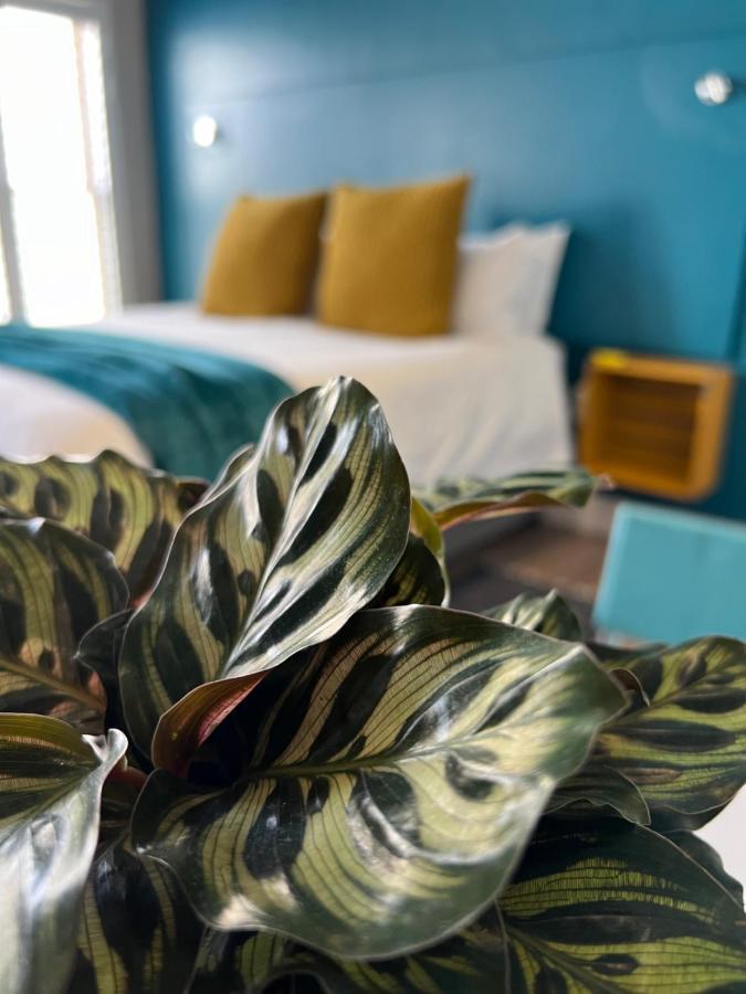 Hermanus Waterfront Apartment No 17 외부 사진